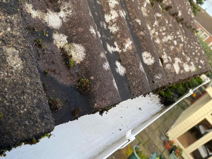 A rooftop and gutter exhibit the presence of green moss, signaling potential blockages. The image emphasizes the impact of gutter cleaning, showcasing a stark contrast between the cleaned half and the blocked portion, illustrating the importance of regular maintenance to prevent issues.
