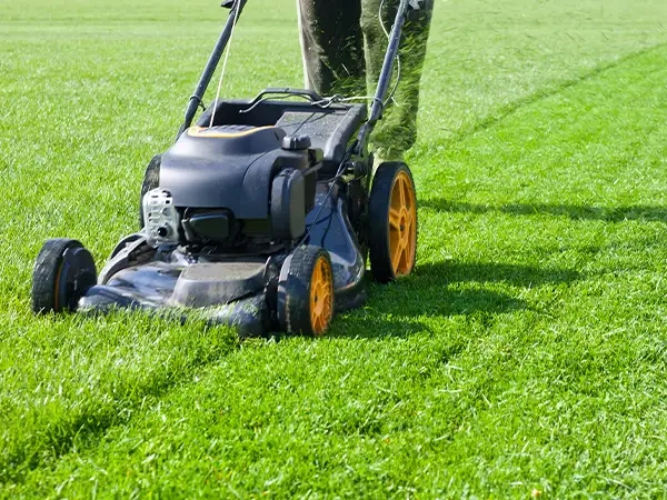 Grass Mowing Norfolk