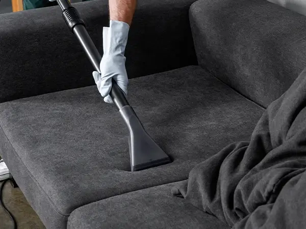 A cleaning operative from The Norfolk Cleaning Group performing professional upholstery cleaning on a three-seated sofa in King's Lynn. The image showcases the skilled process, leaving the home refreshed and clean.
